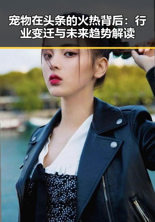 宠物在头条的火热背后：行业变迁与未来趋势解读